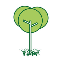 tree natural foliage park plant vector illustration