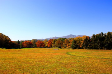 Park in Sapporo in autumn