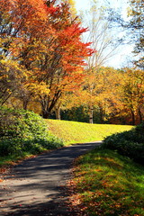 Park in Sapporo in autumn