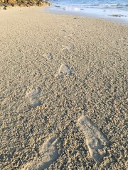 foot print on the beach sand