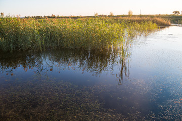 Autumn wetlands