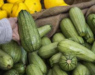 Cousa squash