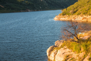 Obraz premium Lonely dead tree on the rocks of the lake