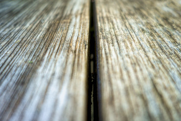 Fototapeta premium Detail of weathered Wood