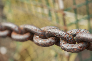 Weathered Chain and a Lobster Trap