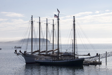 Fototapeta na wymiar Large Sailboat in Maine Harbor