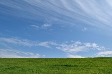 9月の空 芝生と青空