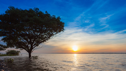 Fototapeta na wymiar Sunset with tree reflection in a lake.