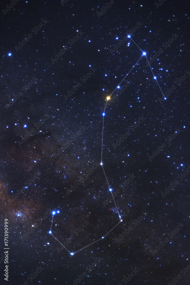 Canvas Prints constellation scorpius and milky way galaxy