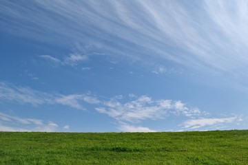 Fototapeta na wymiar 9月の空 芝生と青空