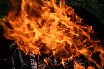 fire flame coal bonfire brazier