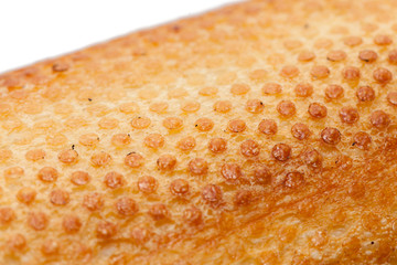 abstract texture of french bread isolated on white background