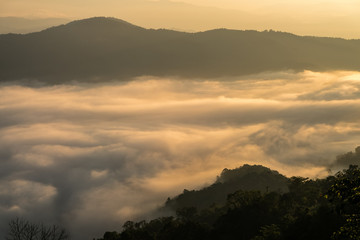 Fog Landscape , Sunrise mornings landscape , Chiang Mai Thailand