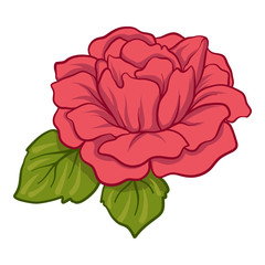 Isolated red rose with green leaves. Stock line vector illustrat