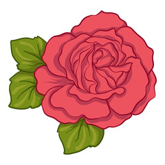 Isolated red rose with green leaves. Stock line vector illustrat