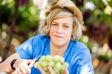 Boy in vineyard