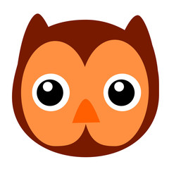 Funny Owl Face, Isolated on White
