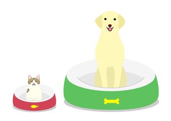 dog and cat sitting comfortably in each bed