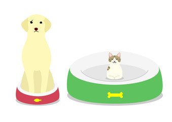 dog taken over its bed by cat