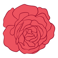 Isolated red rose. Stock vector illustration.