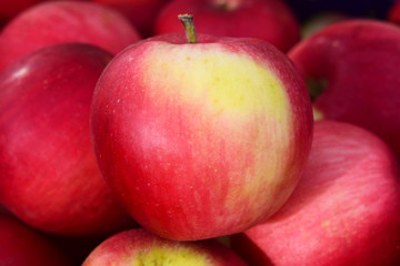 Red ripe apple closeup on the background of other apples, fruit background