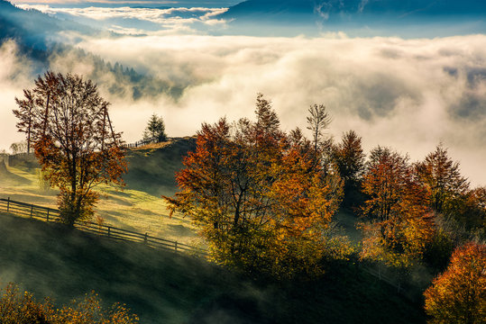 orchard with reddish foliage behind the fence on hillside in autumn mountains. gorgeous countryside with rising fog in valley