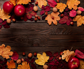 Flat lay frame of autumn crimson and yellow leaves, hazelnuts, walnuts and apples on a dark wooden background.
