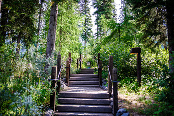 Obraz premium Stairway to Heaven