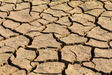 Lecho de barro seco y agrietado en el Embalse de Barrios de Luna, León, España.