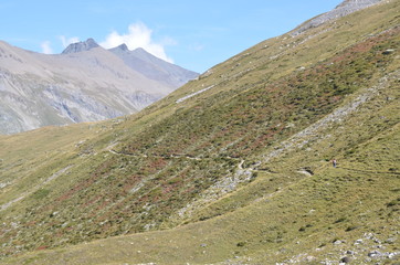 Fototapeta na wymiar Sentier de randonnée dans le Parc National de la Vanoise, Alpes Françaises