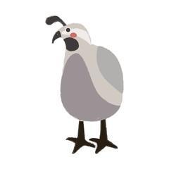 Illustration drawing style set of wildlife