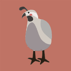Illustration drawing style set of wildlife