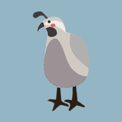 Illustration drawing style set of wildlife