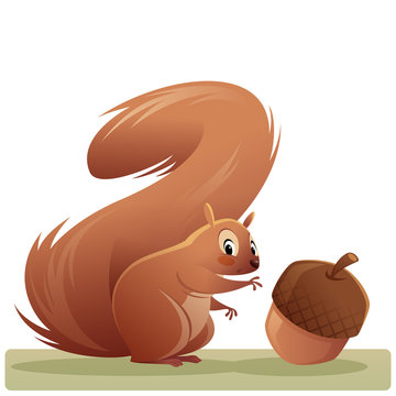 Cartoon squirrel character reaching an acorn isolated vector illustration