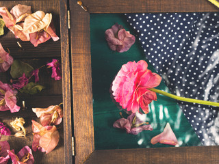 Cups of espresso coffee and flowers on dark green winter fall background