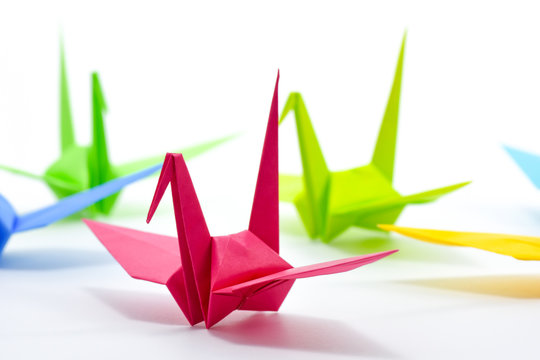 Origami cranes