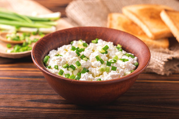 Goat cream cheese with green onions, dip sauce