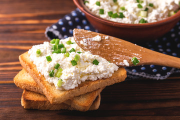 Goat cream cheese with green onions, dip sauce