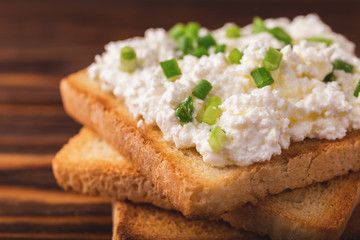 Goat cream cheese with green onions, dip sauce