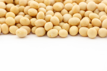 dried soy beans with copy space on white background