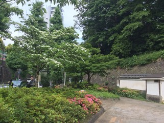 緑の公園
