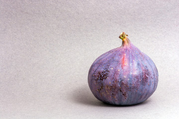 figs fruit on gray background. Bright colors.