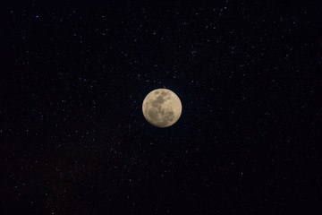 Moon in the night.