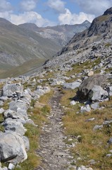 Fototapeta na wymiar Sentier de pierre, Parc National de la Vanoise, Alpes Françaises