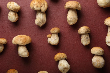 White cep mushrooms pattern on red background