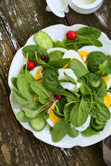 Spring salad with spinach and radish