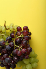 Mix of grapes on yellow