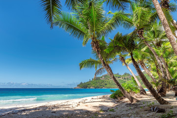 Obraz na płótnie Canvas Landscape of paradise tropical island beach. Summer vacation travel holiday background concept.