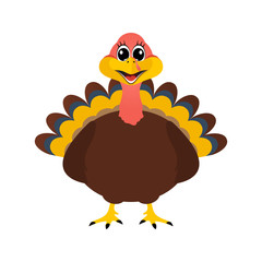 Turkey Pilgrimin on Thanksgiving Day