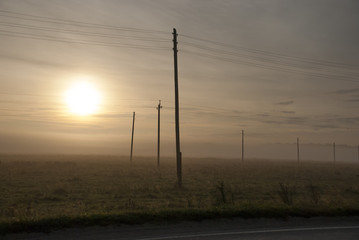 Fototapeta na wymiar Morning fog on the field along the road
